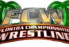 Fcw_crop_100x68