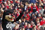 CINCINNATI, OH - DECEMBER 03:  The Cincinnati Bearcat looks on during the game against the Connecticut Huskies on December 3, 2011 at Nippert Stadium in Cincinnati, Ohio. The Bearcats defeated the Connecticut Huskies 35-27. (Photo by Tyler Barrick/Getty Images)