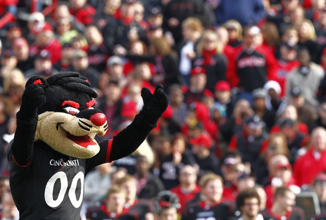 CINCINNATI, OH - DECEMBER 03:  The Cincinnati Bearcat looks on during the game against the Connecticut Huskies on December 3, 2011 at Nippert Stadium in Cincinnati, Ohio. The Bearcats defeated the Connecticut Huskies 35-27. (Photo by Tyler Barrick/Getty Images)