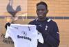 Saha_tottenham_crop_100x68