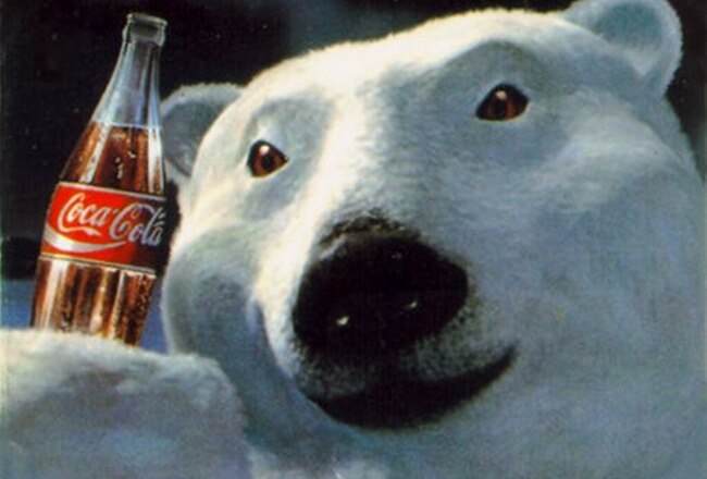 Cokepolarbear_crop_650x440