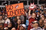 GLENDALE, AZ - JANUARY 31:  Fans of the Phoenix Coyotes cheer during the NHL game agaisnt the Anaheim Ducks at Jobing.com Arena on January 31, 2012 in Glendale, Arizona.  The Ducks defeated the Coyotes 4-1. (Photo by Christian Petersen/Getty Images)