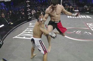 Knee_crop_310x205