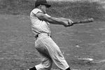 Rogermaris_display_image_crop_150x100