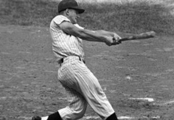 Rogermaris_display_image_crop_340x234