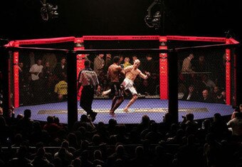Cage-fighting_crop_340x234