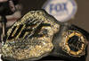 HOLLYWOOD, CA - SEPTEMBER 20:  A detailed view of the UFC Championship belt prior to the UFC on Fox: Velasquez v Dos Santos - Press Conference at W Hollywood on September 20, 2011 in Hollywood, California.  (Photo by Victor Decolongon/Getty Images)