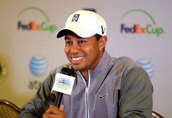 Tiger2_crop_340x234