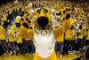 COLUMBIA, MO - FEBRUARY 04:   Truman the Tiger pumps up the crowd before a game between the Missouri Tigers and the Kansas Jayhawks the first half at Mizzou Arena on February 4, 2012 in Columbia, Missouri. (Photo by Ed Zurga/Getty Images)