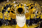 COLUMBIA, MO - FEBRUARY 04:   Truman the Tiger pumps up the crowd before a game between the Missouri Tigers and the Kansas Jayhawks the first half at Mizzou Arena on February 4, 2012 in Columbia, Missouri. (Photo by Ed Zurga/Getty Images)