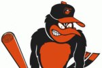 Oriolebird_crop_150x100