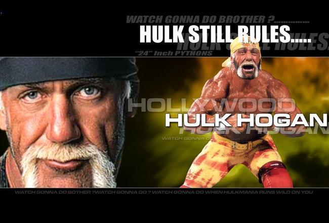 Hulk-hogan-hulk-still-rulles____original_original_crop_650x440