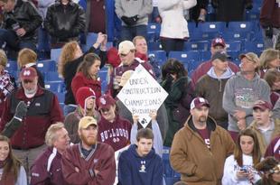 Msu_crop_310x205