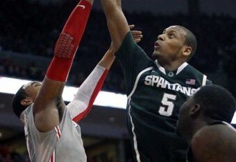 Paynesullinger_crop_340x234