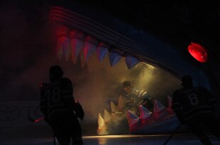 138118049_crop_310x205