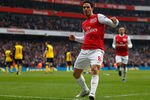 LONDON, ENGLAND - FEBRUARY 04:  Mikel Arteta of Arsenal celebrates after scoring Arsenal's forth goal during the Barclays Premier League match between Arsenal and Blackburn Rovers at Emirates Stadium on February 4, 2012 in London, England.  (Photo by Paul Gilham/Getty Images)