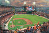 San_francisco_giants_lg_crop_100x68