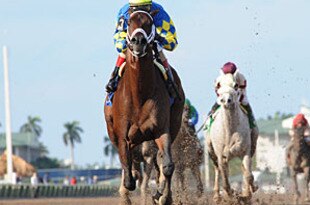 Thundermoccasinhutch_crop_310x205
