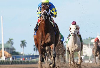 Thundermoccasinhutch_crop_340x234