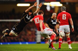 CARDIFF, WALES - FEBRUARY 12:  Rhys Priestland of Wales kicks the ball under pressure from Alasdair Strokosch of Scotland during the RBS Six Nations match between Wales and Scotland at the Millenium Stadium on February 12, 2012 in Cardiff, Wales.  (Photo by Mike Hewitt/Getty Images)