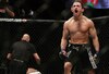 Ellenberger_crop_100x68