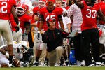 ATHENS, GA - OCTOBER 11:  Defensive coordinator Willie Martinez (C) of the Georgia Bulldogs and the bench errupt in celebration after a defensive stop against the Tennessee Volunteers during the game at Sanford Stadium on October 11, 2008 in Athens, Georgia.  (Photo by Kevin C. Cox/Getty Images)
