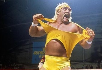 Hulk-hogan-0-0-0x0-432x4321_original_crop_340x234