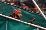 SCOTTSDALE, AZ - FEBRUARY 19:  Buster Posey #28 of the San Francisco Giants catches live batting practice during spring work outs at Scottsdale Stadium on February 19, 2011 in Scottsdale, Arizona.  (Photo by Norm Hall/Getty Images)