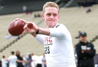Maxbrown_crop_340x234
