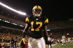 PITTSBURGH, PA - NOVEMBER 06:  Mike Wallace #17 of the Pittsburgh Steelers celebrates after catching a touchdown pass against the Baltimore Ravens during the game on November 6, 2011 at Heinz Field in Pittsburgh, Pennsylvania.  (Photo by Jared Wickerham/Getty Images)