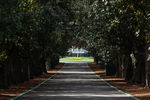 AUGUSTA, GA - APRIL 01:  Magnolia Lane's 60 magnolia trees and the clubhouse are seen at Augusta National Golf Club before The Masters on April 1, 2012 in Augusta, Georgia.  (Photo by Scott Halleran/Getty Images)