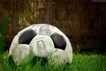 Bets4ball_crop_150x100
