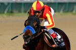 LOUISVILLE, KY - NOVEMBER 04:  Secret Circle, riden by Rafael Bejarano, wins the Breeders' Cup Juvenile Sprint during the 2011 Breeders' Cup World Championships at Churchill Downs on November 4, 2011 in Louisville, Kentucky.  (Photo by Matthew Stockman/Getty Images)
