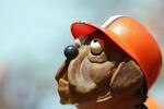 CLEVELAND, CO - SEPTEMBER 11:  A fan in the Cleveland Browns Dog Pound in the first quarter against the Cincinnati Bengals during the first quarter at Cleveland Browns Stadium on September 11, 2005 in Cleveland, Ohio.  (Photo by Harry How/Getty Images)