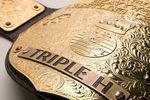 World-heavy-weight-championship-belt-triple-h-13618018-621-378_crop_150x100