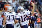Bradypic40_crop_150x100