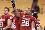 TEMPE, AZ - DECEMBER 30:  Linebacker Travis Lewis #28 of the Oklahoma Sooners celebrates following the Insight Bowl against the Iowa Hawkeyes at Sun Devil Stadium on December 30, 2011 in Tempe, Arizona. The Sooners defeated the Hawkeyes 31-14.  (Photo by Christian Petersen/Getty Images)