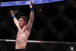 Stipemiocic_crop_150x100