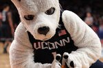 NEW YORK, NY - MARCH 08:  The mascot for the Connecticut Huskies crushes an orange during the quarterfinals of the Big East Men's Basketball Tournament at Madison Square Garden on March 8, 2012 in New York City.  (Photo by Michael Heiman/Getty Images)