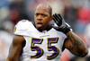 FOXBORO, MA - JANUARY 22:  Terrell Suggs #55 of the Baltimore Ravens warms up prior to their AFC Championship Game against the New England Patriots at Gillette Stadium on January 22, 2012 in Foxboro, Massachusetts.  (Photo by Rob Carr/Getty Images)