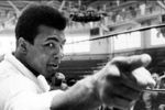 Main_ali_crop_150x100