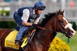 LOUISVILLE, KY - MAY 03:  Union Rags trains on the track in preparation for the 138th Kentucky Derby at Churchill Downs on May 3, 2012 in Louisville, Kentucky.  (Photo by Rob Carr/Getty Images)