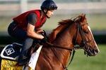 LOUISVILLE, KY - MAY 04:   Dullahan trains on the track in preparation for the 138th Kentucky Derby at Churchill Downs at Churchill Downs on May 4, 2012 in Louisville, Kentucky.  (Photo by Rob Carr/Getty Images)
