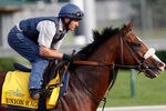 LOUISVILLE, KY - MAY 03:  Union Rags trains on the track in preparation for the 138th Kentucky Derby at Churchill Downs on May 3, 2012 in Louisville, Kentucky.  (Photo by Rob Carr/Getty Images)