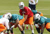 DAVIE, FL - MAY 4: Ryan Tannehill #17 takes a snap from Terrence Brown #60 of the Miami Dolphins during the rookie minicamp on May 4, 2012 at the Miami Dolphins training facility in Davie, Florida. (Photo by Joel Auerbach/Getty Images)
