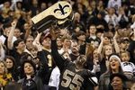 Saints-fans-by-michael-democker-the-times-picayune_crop_150x100