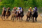 BALTIMORE, MD - MAY 21:  Jockey Jesus Castanon guides Shackleford #5 (C) out of the fourth turn to win the 136th running of the Preakness Stakes at Pimlico Race Course on May 21, 2011 in Baltimore, Maryland.  (Photo by Rob Carr/Getty Images)