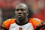 ATLANTA - OCTOBER 24:  Terrell Owens #81 of the Cincinnati Bengals against the Atlanta Falcons at Georgia Dome on October 24, 2010 in Atlanta, Georgia.  (Photo by Kevin C. Cox/Getty Images)