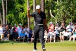 PONTE VEDRA BEACH, FL - MAY 11:  Tiger Woods of the United States waves after putting on the eighth green during the second round of THE PLAYERS Championship held at THE PLAYERS Stadium course at TPC Sawgrass on May 11, 2012 in Ponte Vedra Beach, Florida.  (Photo by Andy Lyons/Getty Images)
