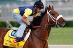 LOUISVILLE, KY - MAY 03: Optimizer trains on the track in preparation for the 138th Kentucky Derby at Churchill Downs on May 3, 2012 in Louisville, Kentucky.  (Photo by Rob Carr/Getty Images)